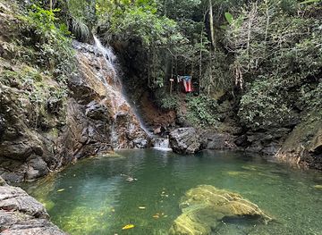 puerto-rico/yunque-national-forest/landmark/bosque-estatal-de-maricao