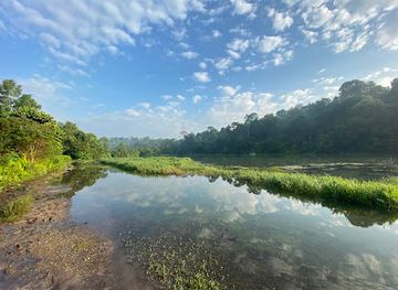 singapore/labrador-nature-reserve/landmark/pcn-lornie-nature-corridor