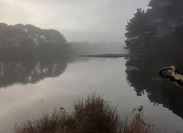 guernsey/torteval/landmark/the-millennium-walk