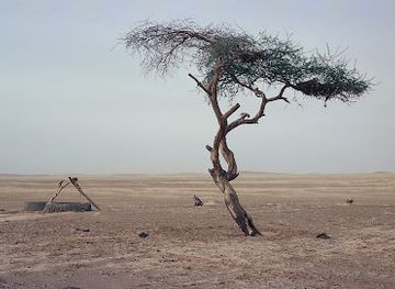 niger/tenere-desert/landmark/tree-of-tenere