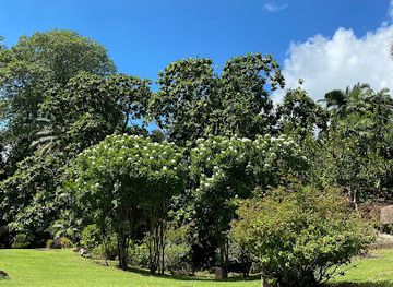 seychelles/victoria/landmark/giant-tortoise-enclosure