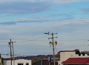 west-virginia/weirton/landmark/weirton-shopping-plaza