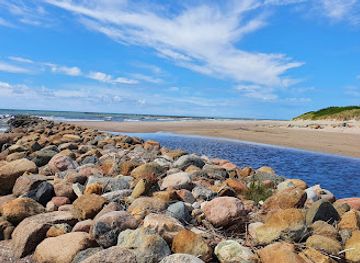 lithuania/nida-beach/landmark/nida-pebble-beach