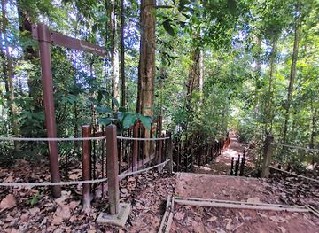 singapore/bukit-timah-nature-reserve/landmark/catchment-path