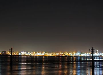 qatar/al-thakira-mangroves/landmark/al-thakira-mangroves-forest-beach