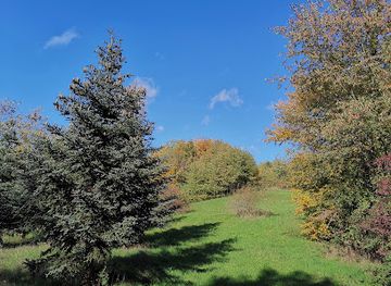 germany/black-forest/landmark/milleniumswald