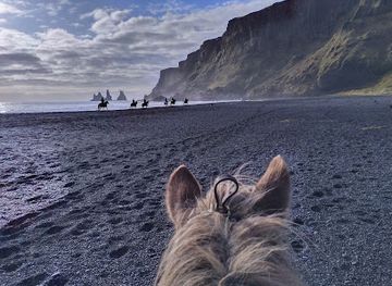 iceland/vik/landmark/vik-horse-adventure