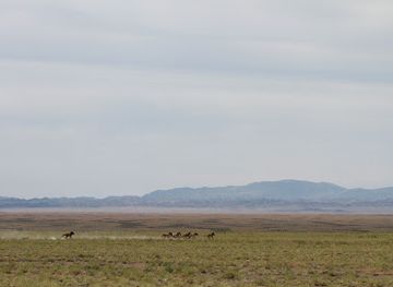 mongolia/eastern-steppe/landmark/great-gobi-b