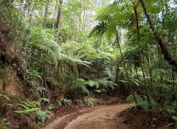 honduras/cusuco-national-park/landmark/parque-nacional-cusuco