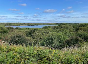 netherlands/texel-island/landmark/de-muy