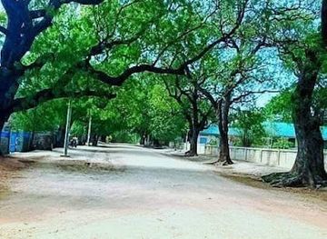 myanmar-burma/magway-region/landmark/village