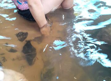 paraguay/northern-paraguay/landmark/arroyo-yhaguy-visitar