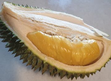 malaysia/pahang/landmark/jimmy-s-durian-orchard