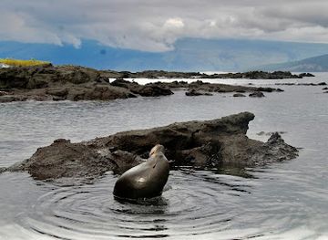 ecuador/galapagos-islands/landmark/santiago-island