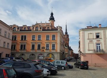 poland/tarnow/landmark/pomnik-romana-brandstaettera