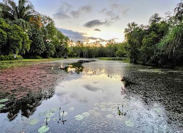 australia/cairns/landmark/cairns-botanic-gardens