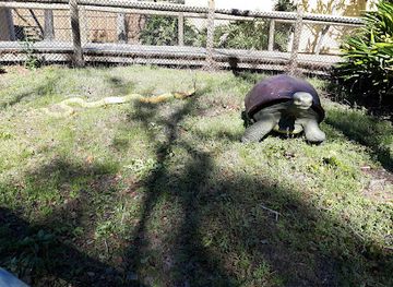 florida/panama-city-beach/landmark/zooworld-zoological-park