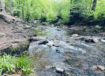 belgium/ardennes-mountains/landmark/cascade-de-nutons