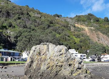 new-zealand/bay-of-plenty/landmark/muriwai-s-cave