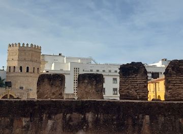 spain/seville/el-arenal/landmark/torre-de-la-plata