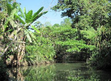 costa-rica/cahuita-national-park/landmark/sloth-sanctuary-of-costa-rica