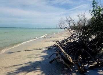 florida/honeymoon-island-state-park/landmark/caladesi-island-state-park