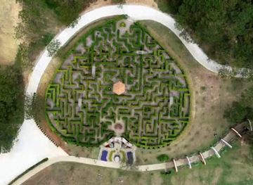 vietnam/dalat/valley-of-love/landmark/the-maze-of-love-valley