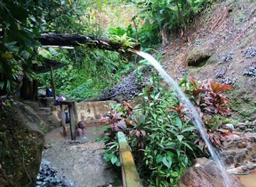 dominica/roseau/landmark/tia-s-hot-spa