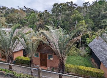 madagascar/amoron-i-mania/landmark/reserve-speciale-d-analamazoatra