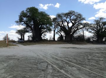 botswana/nxai-pan-national-park/landmark/kudiakam-pan