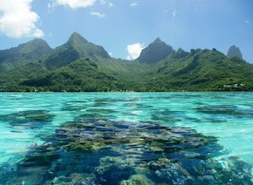 french-polynesia/moorea/landmark/mo-orea