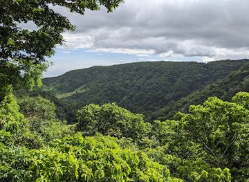 costa-rica/monteverde-cloud-forest/landmark/children-s-eternal-rain-forest-bajo-del-tigre