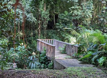 saint-vincent-and-the-grenadines/botanic-gardens-st-vincent/landmark/layou-petroglyph-park