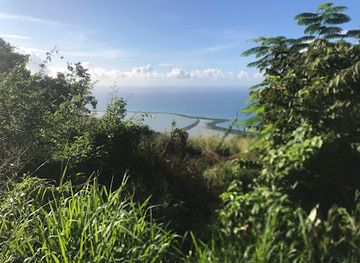 jamaica/yallahs-valley/landmark/yallahs-pond