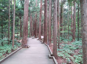 japan/sapporo/maruyama-park/landmark/maruyama-primeval-forest