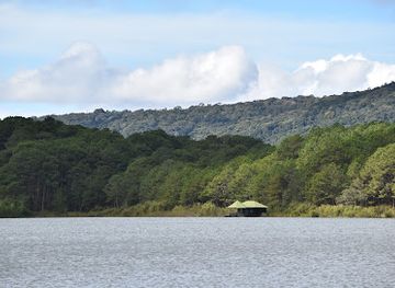 vietnam/dalat/tuyen-lam-lake/landmark/the-morning-swan-tuyen-lam-lake