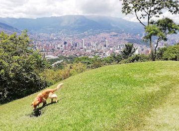 colombia/los-llanos/landmark/parque-natural-cerro-el-volador