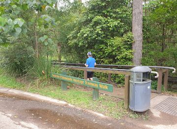 australia/sunshine-coast/landmark/buderim-palmwoods-heritage-tramway-walk