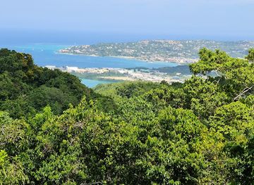 jamaica/santa-cruz-mountains/landmark/rocklands-bird-sanctuary-montego-bay