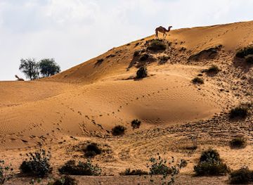 united-arab-emirates/ras-al-khaimah/landmark/makn-lltkhym