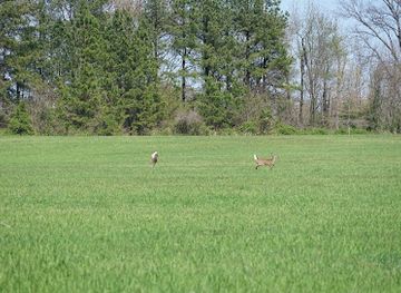 maryland/wye-island-natural-resource-management-area/landmark/wye-island