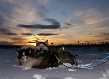 sweden/vasterbotten/landmark/aurora-borealis-adventures