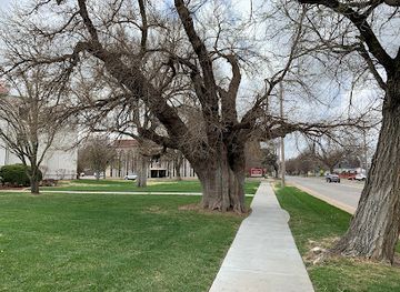 kansas/wichita/old-town/landmark/historic-chisholm-trail-mulberry-tree-marker