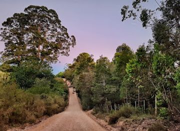 south-africa/garden-route/landmark/rheenendal-ramble