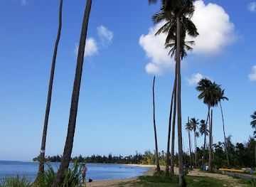 puerto-rico/luquillo/landmark/wepa-arepa