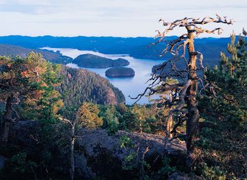 norway/vestfold/landmark/roysa-nature-reserve