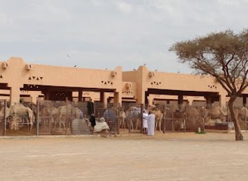 united-arab-emirates/al-ain-region/landmark/al-ain-camel-market
