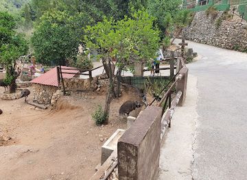 lebanon/jounieh/landmark/animal-city