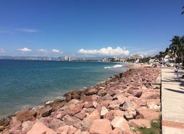 mexico/puerto-vallarta/hotel-zone/landmark/the-boy-on-the-seahorse