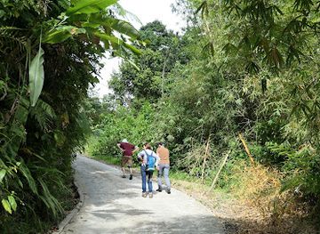 dominica/middleham-falls/landmark/middleham-falls-trailhead